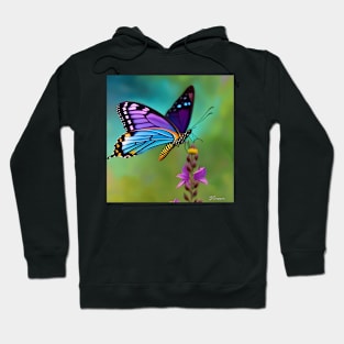 Beautiful butterfly magic Hoodie